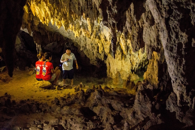 explicacion de los mejoternera