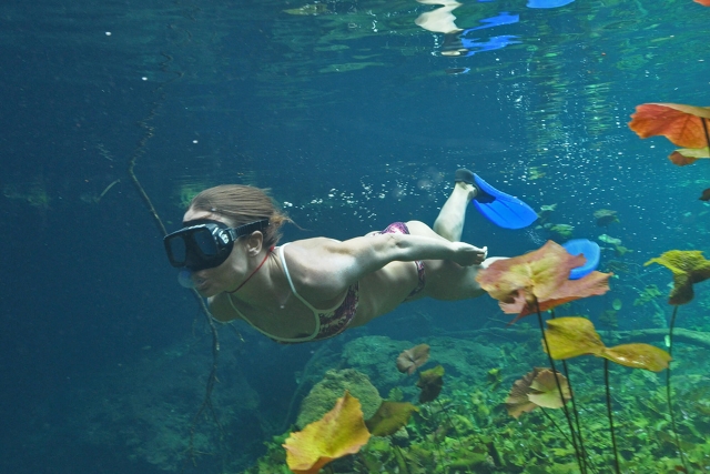 snorkel en cenote abierto