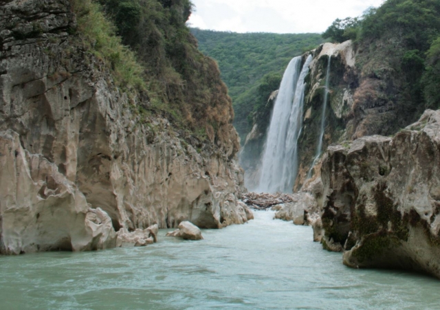 rio delante de la selvas.