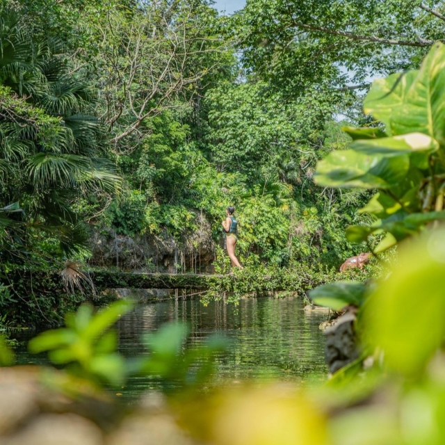 Disfrutando los cenotes