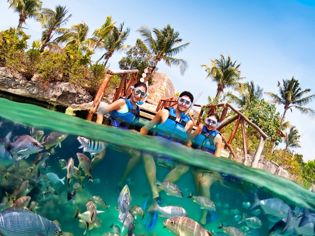 Haz Snorkel en la Riviera Maya