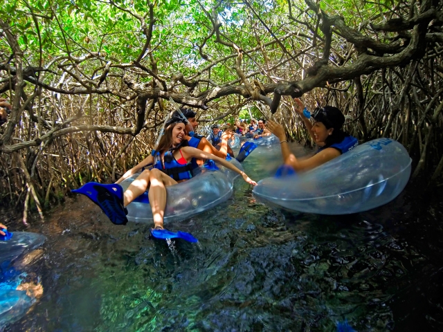 Recorre el río en una de las llantas inflablererererereres 