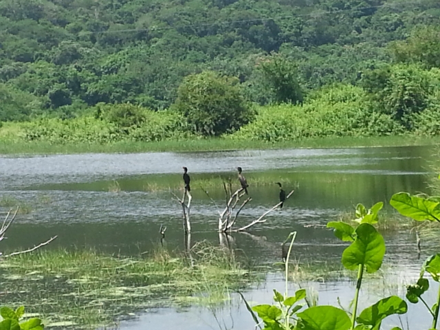 Admirando la naturaleza
