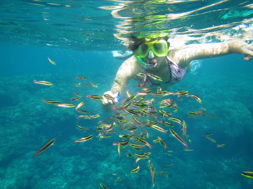 practica snorkel
