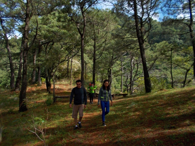 De camino a nuestra actividad