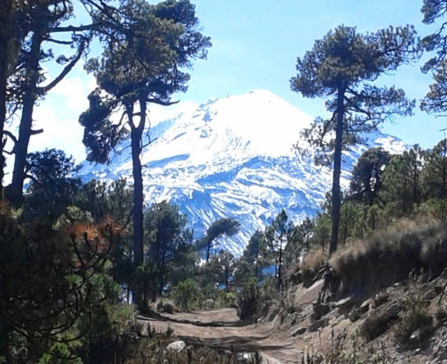 senderos hacia el Volcán