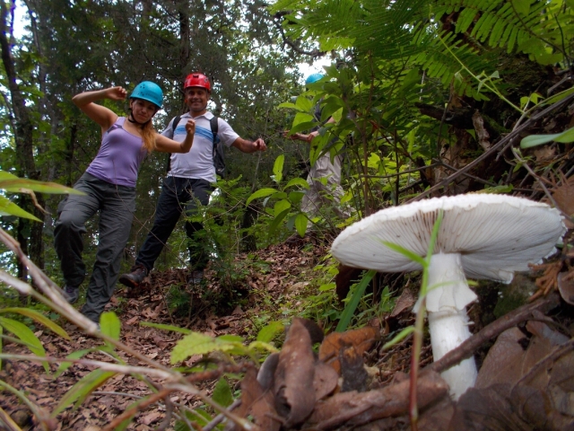 Bajando el terreno