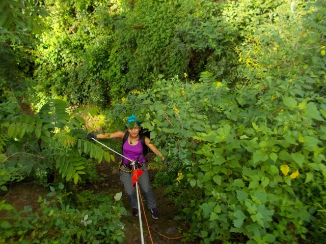 rappel entre la selvas