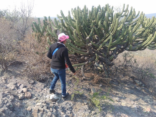 Aprende con la granja