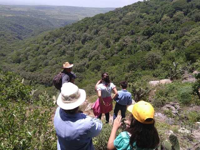 Contempla la naturaleza