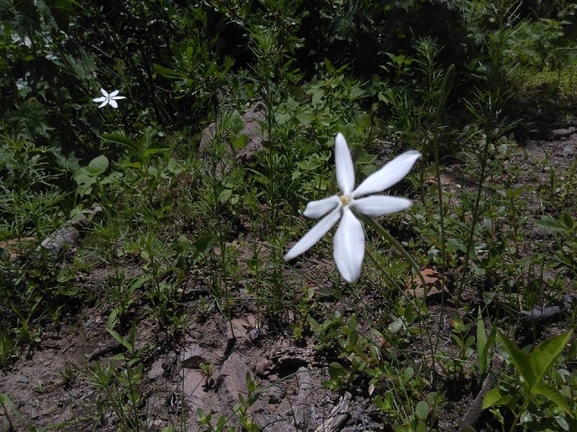 Disfruta de la naturaleza