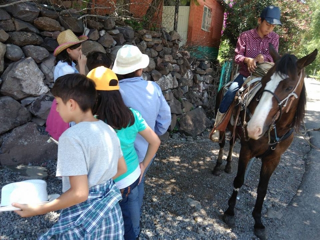 Aprende con los animales