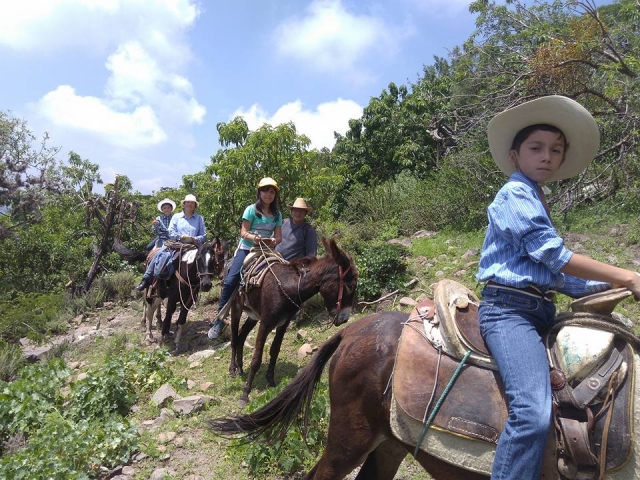Disfruta de los animales