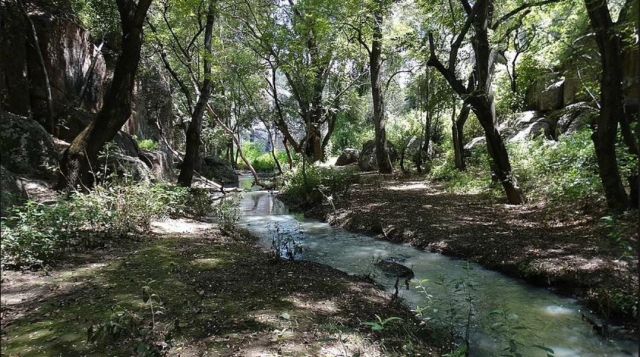 Plena naturaleza.