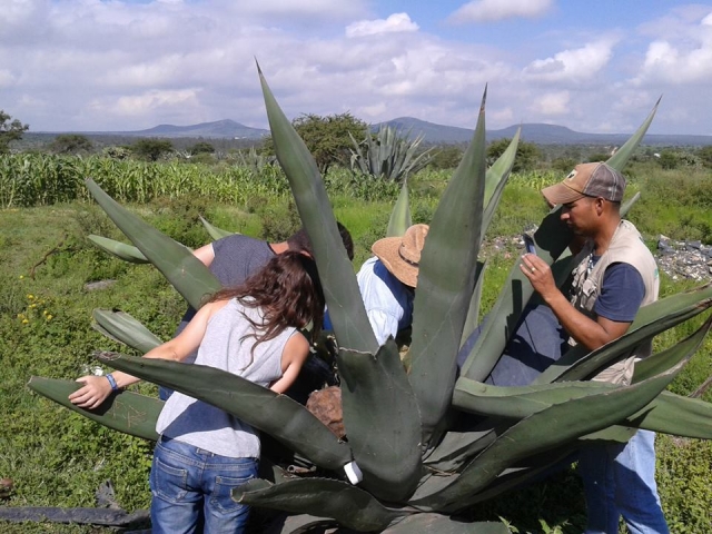 en la naturaleza