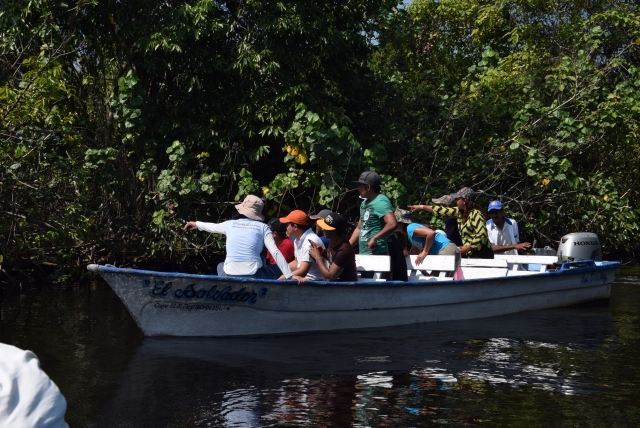 paseo por el santuario de aves