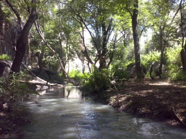 Manantial con aguas termaleres