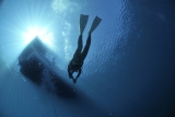 Buceo por Isla del Coral desde San Blas 6h