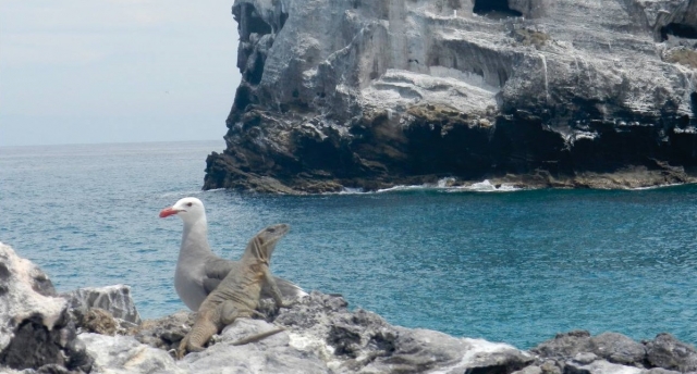 observando la naturaleza.