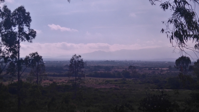 en mitad de la naturaleza