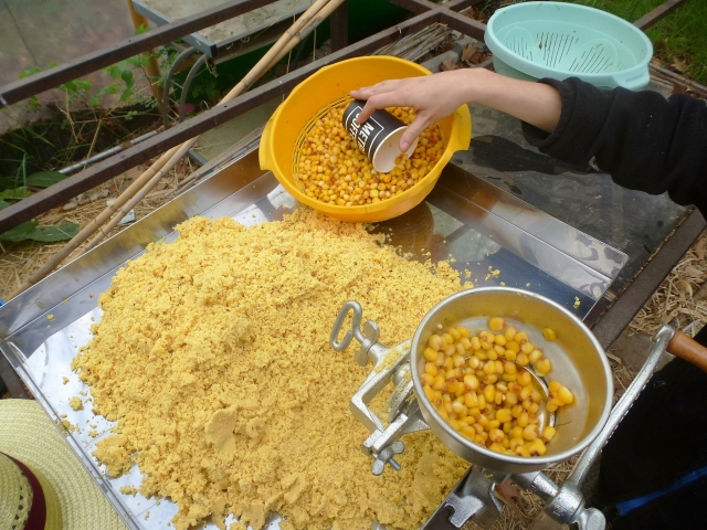 Haciendo tortita