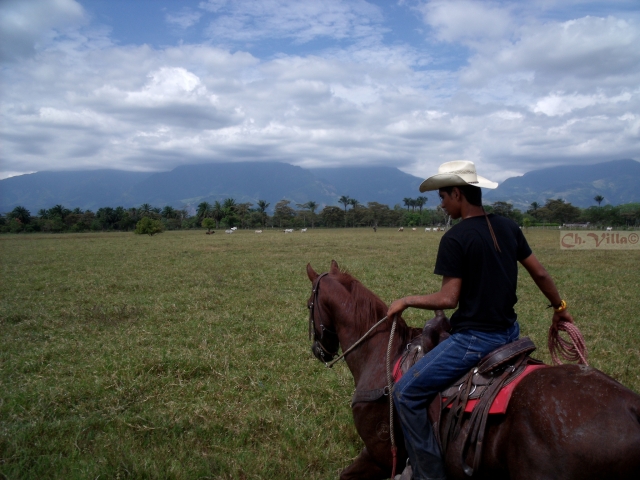 Monta a caballo