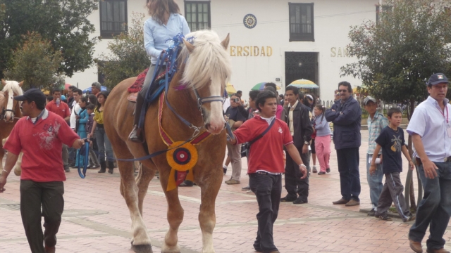Paseando a caballo