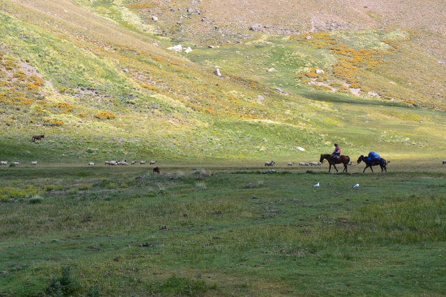 Paisajererererereres de caballos