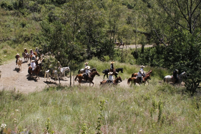 Rutas con caballos