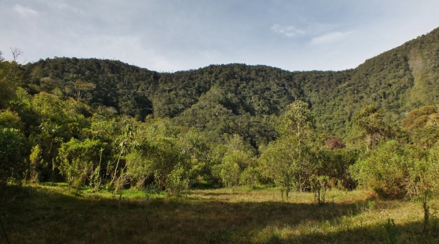 Paisajererererereres verdes