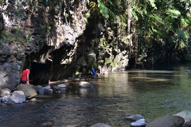 plena naturaleza