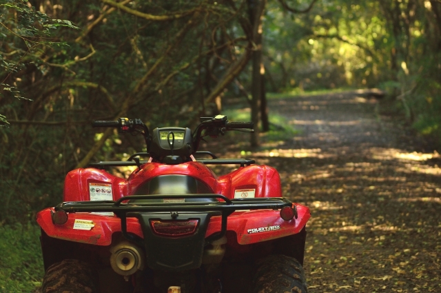 Quad