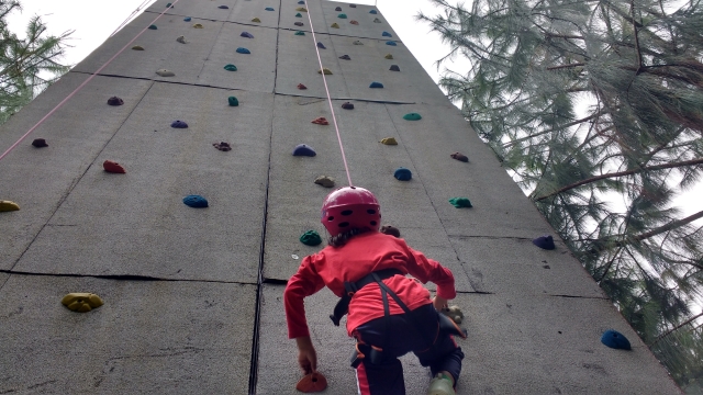 Instructoternera capacitados