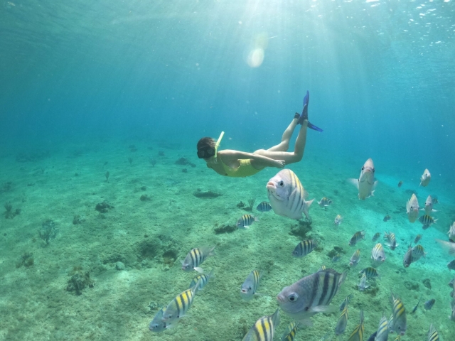 Snorkel en la isla