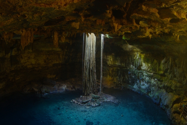 Nada en cenote