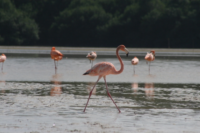 Conoce la reservas natural