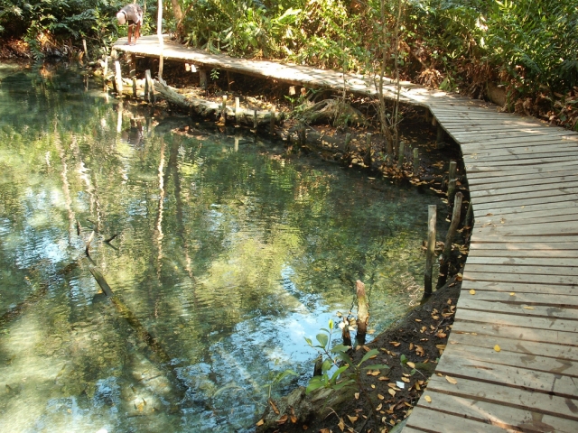 puentererererereres asombrosos