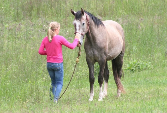 acariciando al caballo