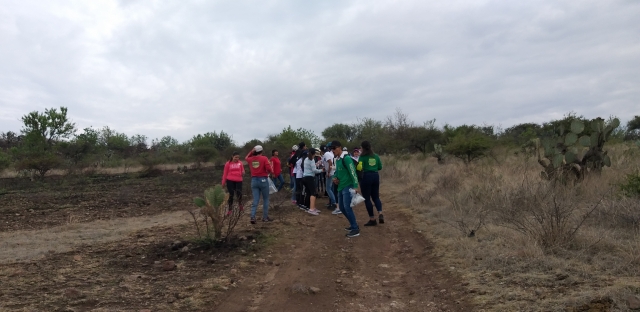 CAMINO