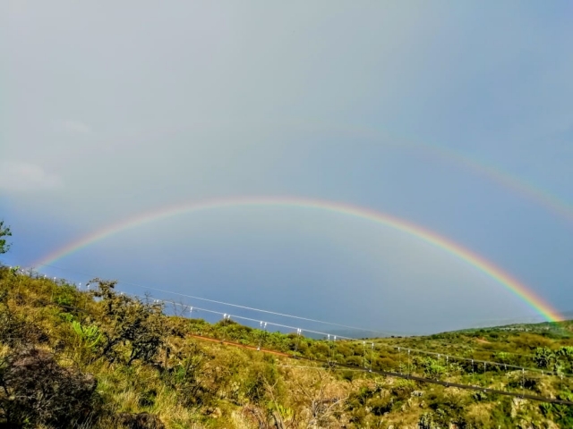 NATURALEZA