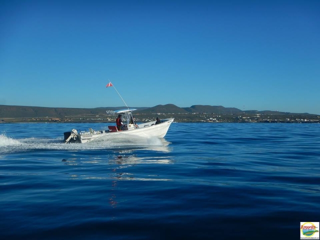 Paseo en barco a la isla 
