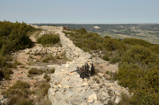 Sierra Gorda.