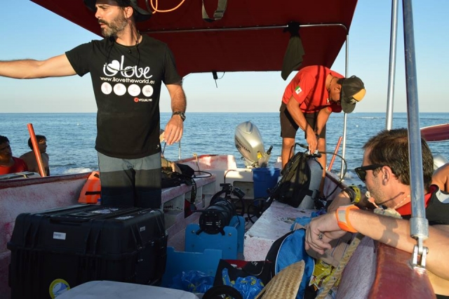 sharkiereres team