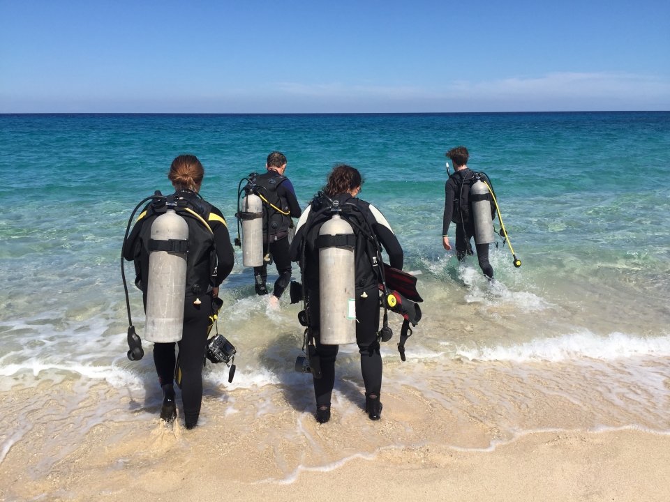 shore diving