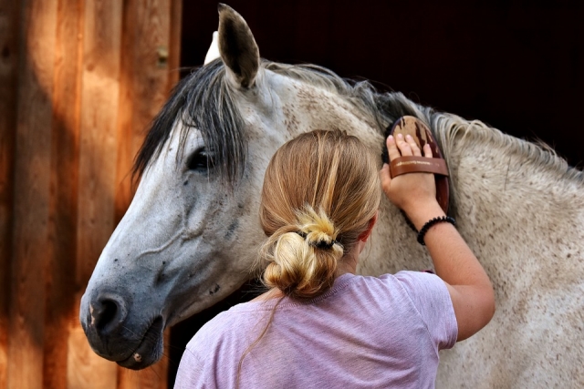 caballo con amor.