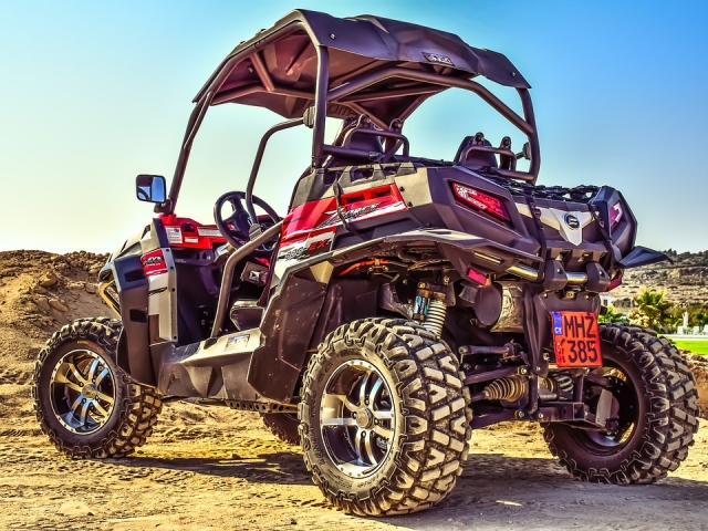 rzr biplaza