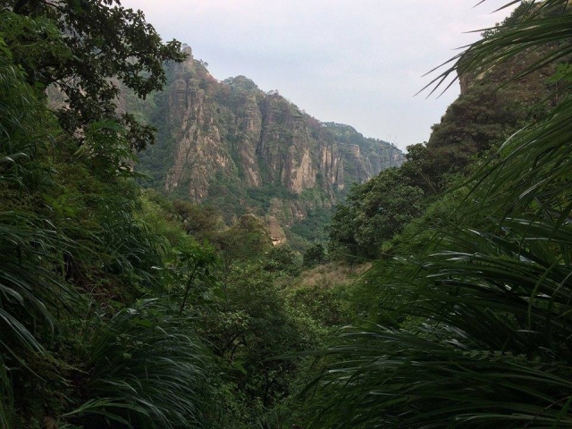 morelos.