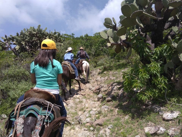paseo a caballo