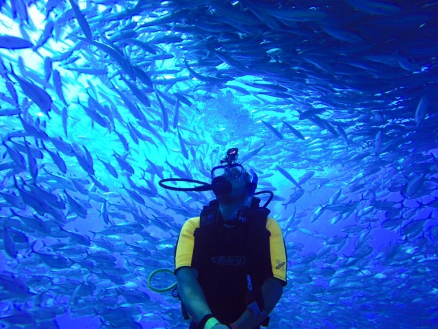 bajo en banqueta de peceres