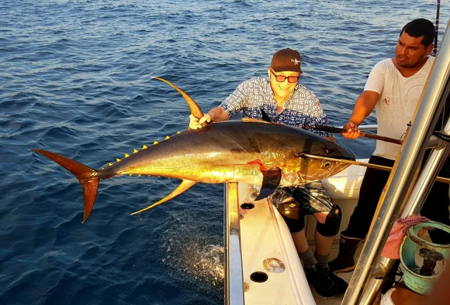pesca